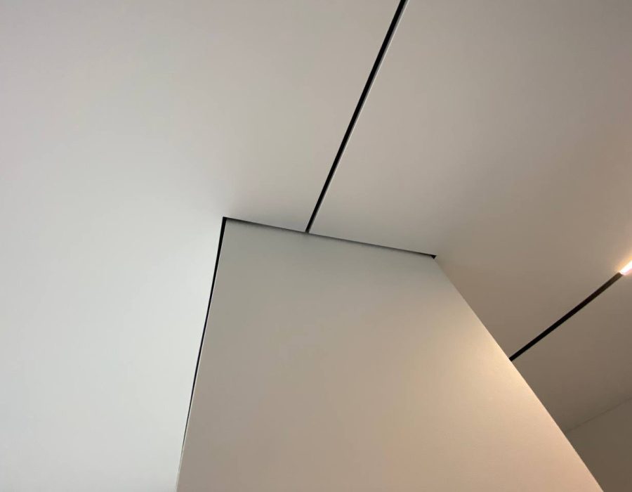 Matinis įtempiamos lubos